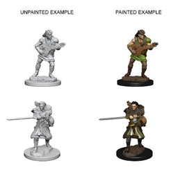 Dungeons & Dragons Nolzur’s Marvelous Miniatures: Human Bard (Male)
