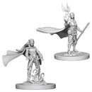 Elf Druid Female D&D Nolzur's Miniatures