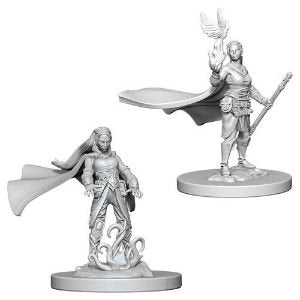 Elf Druid Female D&D Nolzur's Miniatures