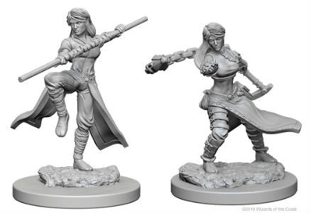 Human Monk Female D&D Nolzur's Miniatures